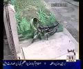 CCTV Footage:- See How Thief stealing bike outside the house in Green Town, Lahore!